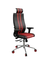 SynchroSit 10 B2-187D - Extra1
