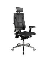 Yoga Spine Triumph B21