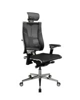 Yoga Spine Triumph L21