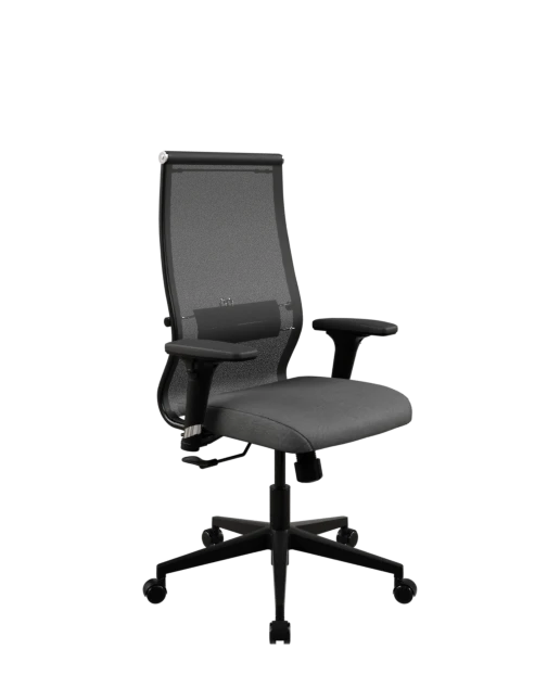 SynchroSit 10 B2-165D - T+Bahama