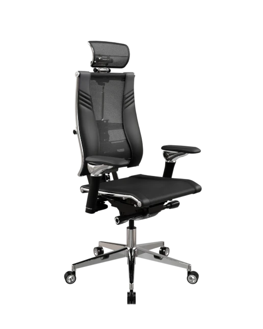 Yoga Spine Triumph B2
