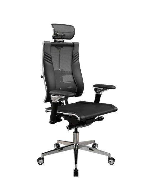 Yoga Spine Triumph L2